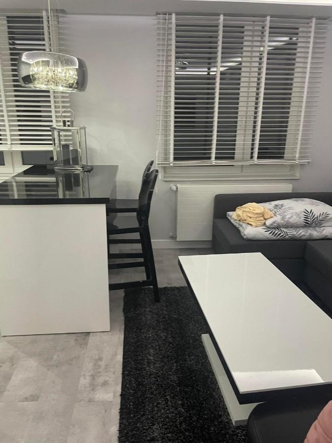 Apartament Poniatowa公寓 外观 照片